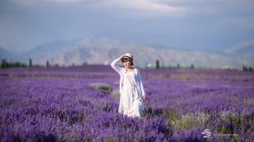 乌鲁木齐出发新疆落地包车深度旅拍8日游：巴音布鲁克-那拉提-霍城薰衣草-独库公路8日包车游-推荐