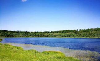 北京出發(fā)東北邊境15日自駕游：賽罕烏拉-烏拉蓋-阿爾山-滿(mǎn)洲里-漠河-北極村15日自駕游自駕游