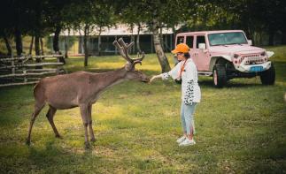 北京出發(fā)圍場2日自駕游：一鹿有你-駐野奢營地-享芬蘭草原-叢林穿越-釋放荷爾蒙 2日露營自駕游自駕游