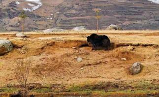 「自駕組團(tuán)游-新藏線」成都出發(fā)川藏線、阿里南線、新藏線、喀什、烏魯木齊23日 【跨時差之旅】·看不同自駕游