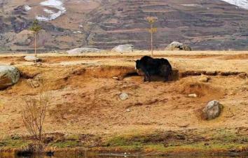 「自驾组团游-新藏线」成都出发川藏线、阿里南线、新藏线、喀什、乌鲁木齐23日 【跨时差之旅】·看不同-游推荐