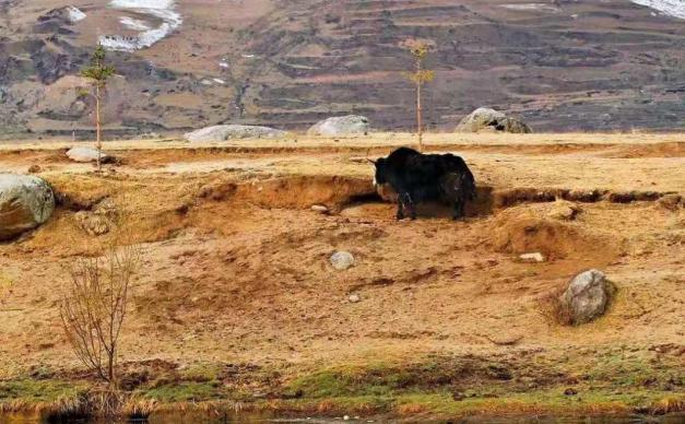 成都集合新疆+西藏23日自驾游：G318川藏线-阿里南线-新藏线-喀什-乌鲁木齐-拉萨23日自驾