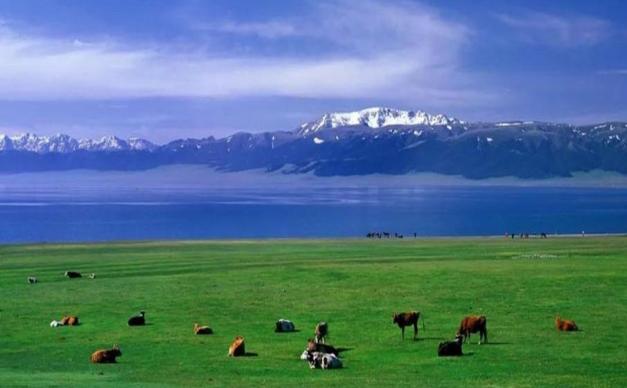 乌鲁木齐集合新疆12自驾游：北疆环线-伊犁全景-独库公路-喀纳斯-塞里木湖12日落地北疆自驾游