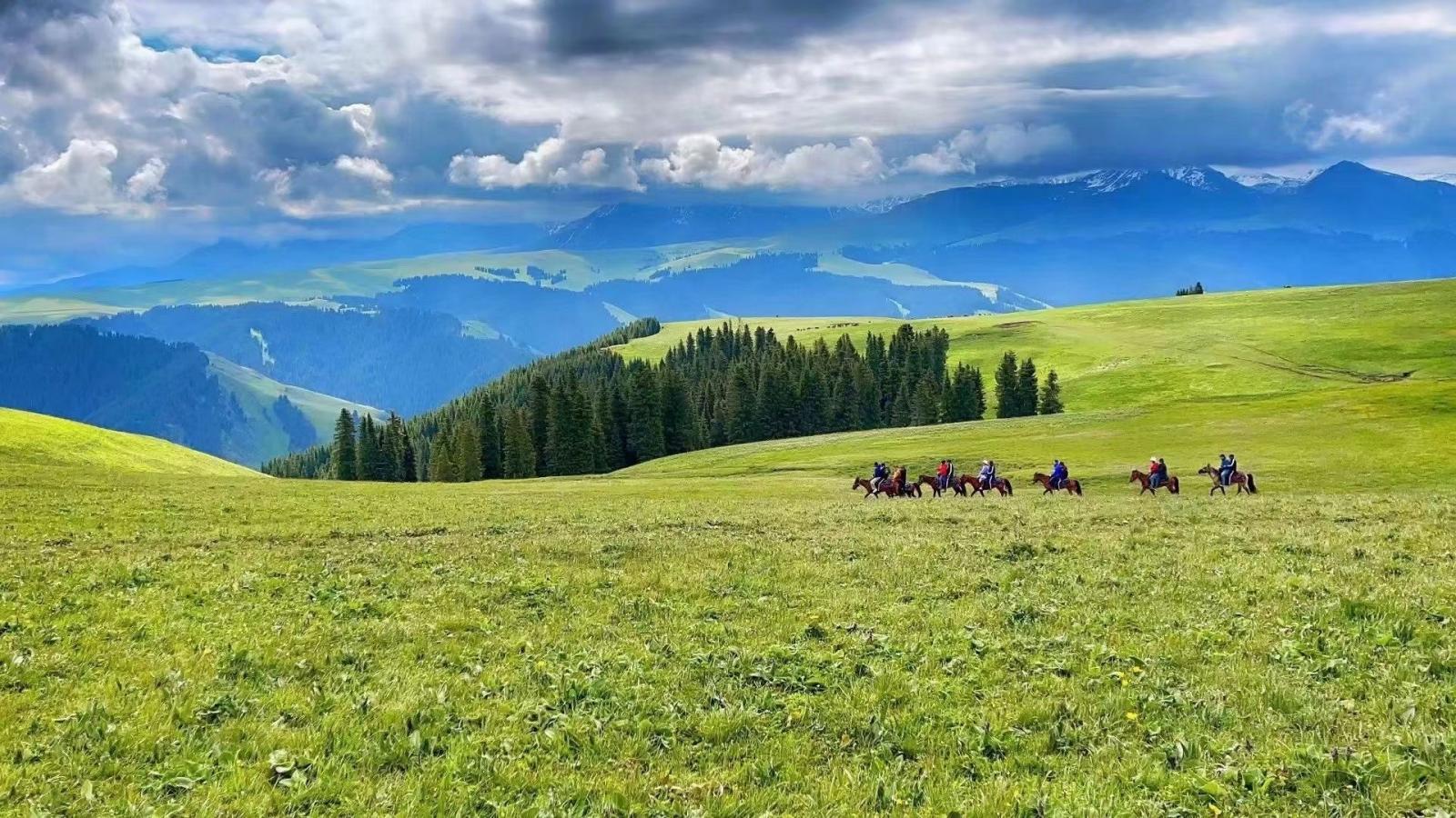 全国出发新疆25日自驾游：喀伊连线+天山天池+喀纳斯+禾木+赛里木湖+薰衣草+喀拉峻+巴音布鲁克+那自驾游