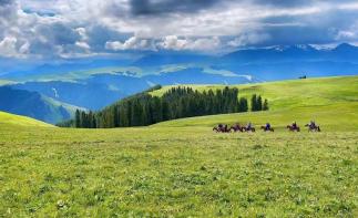 全國(guó)出發(fā)新疆25日自駕游：喀伊連線+天山天池+喀納斯+禾木+賽里木湖+薰衣草+喀拉峻+巴音布魯克+那自駕游