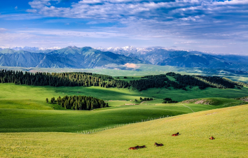 因何而来-游推荐