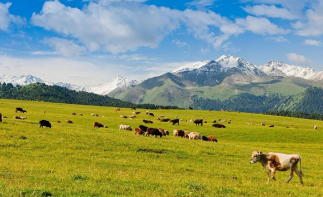 【世界級的東疆7日游】拒絕千篇一律，就要與眾不同自駕游