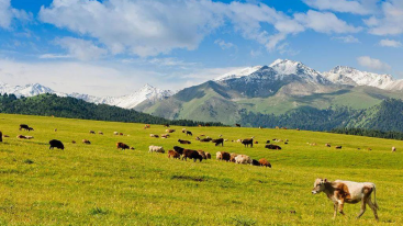 【世界级的东疆7日游】拒绝千篇一律，就要与众不同-推荐