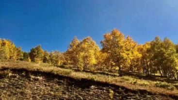 北京出发内蒙5日自驾游：热阿线-达达线-翁跟毛都-西拉木沦大峡谷5日自驾游-推荐