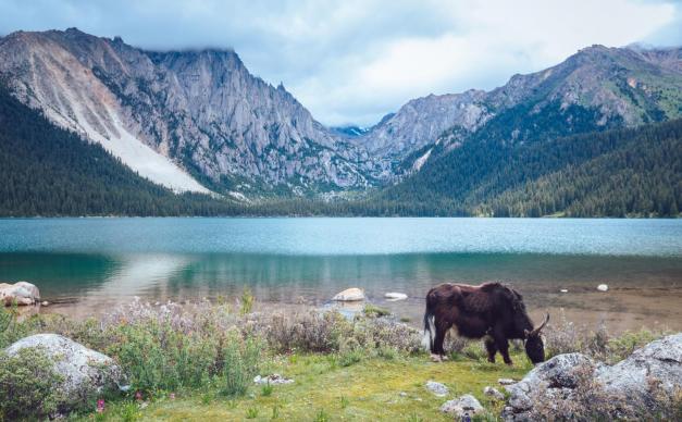 成都出发川西6日自驾游：措普沟-勒通古镇-丁真家乡理塘-措卡湖-卡萨湖-格萨尔王城-姊妹湖6日自驾游