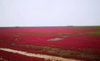 北京出發(fā)東北4日自駕游：興城古城-紅海灘國家風景廊道-大黑山國家森林公園4日自駕游自駕游