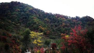 北京出发东北6日自驾游：关门山森林公园-本恒公路-虎山长城-全程五星酒店6日自驾游-推荐