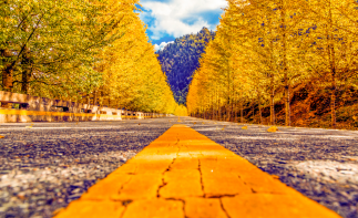 重庆出发西北甘青7日自驾游：甘南-青海祁连山冷龙岭秋色长廊7日自驾游自驾游