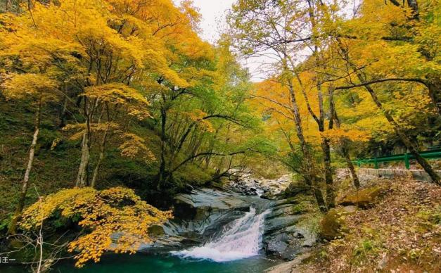 金秋重庆周边3日自驾游：金秋城口县北极彩林红叶环线-大巴山秘境穿越3日自驾