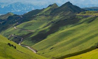 全国出发北疆11日落地自驾：喀纳斯-禾木-魔鬼城-赛里木湖-伊昭公路-那拉提草原-巴音布鲁克-独库公自驾游