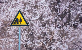 全国出发林芝桃花8日自驾：嘎拉村-巴松措-雅鲁藏布江大峡谷-嘎隆拉冰川-来古冰川-然乌湖-雅尼湿地8自驾游