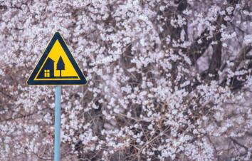 全国出发林芝桃花8日自驾：嘎拉村-巴松措-雅鲁藏布江大峡谷-嘎隆拉冰川-来古冰川-然乌湖-雅尼湿地8-游推荐