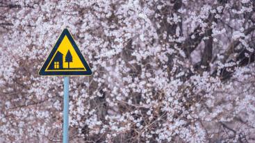 全国出发林芝桃花8日自驾：嘎拉村-巴松措-雅鲁藏布江大峡谷-嘎隆拉冰川-来古冰川-然乌湖-雅尼湿地8-推荐