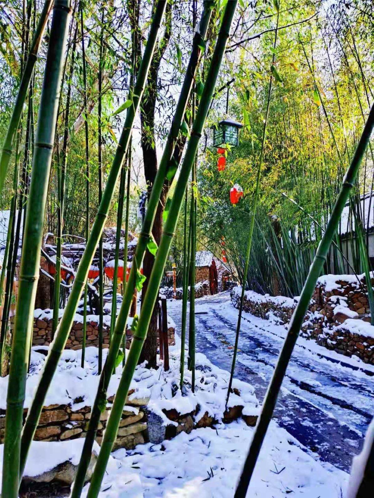 北京出发山东6日自驾游：水浒影视城-尼山孔庙-台儿庄-竹泉村-地下大峡谷-青岛啤酒博物馆-栈桥6日自自驾游