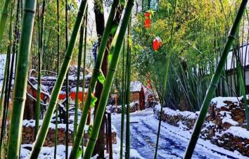 北京出发山东6日自驾游：水浒影视城-尼山孔庙-台儿庄-竹泉村-地下大峡谷-青岛啤酒博物馆-栈桥6日自-游推荐