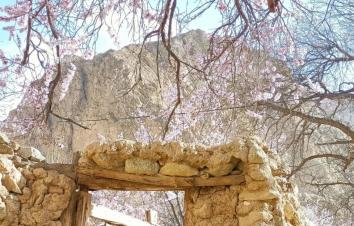 杏花微雨丨邂逅帕米尔醉美春天  喀什古城—慕士塔格峰—瓦罕走廊—盘龙古道—塔莎古道—塔尔乡杏花村6日-游推荐