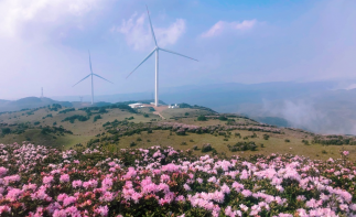 重慶到烏蒙大草原3日自駕游：高原杜鵑花-烏蒙大草原-烏蒙云海-海坪彝族文化村-水城古鎮(zhèn)-貴州三線博物自駕游