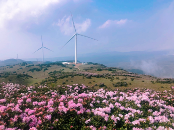 重慶到烏蒙大草原3日自駕游：高原杜鵑花-烏蒙大草原-烏蒙云海-海坪彝族文化村-水城古鎮(zhèn)-貴州三線博物