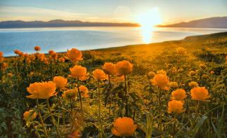 暑假全國出發(fā)新疆-北疆10日自駕游：喀納斯·禾木·江布拉克·唐布拉百里畫廊·獨庫公路（含租車）自駕游