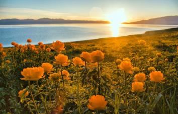 暑假全国出发新疆-北疆10日自驾游：喀纳斯·禾木·江布拉克·唐布拉百里画廊·独库公路（含租车）-游推荐