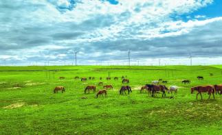 北京出发内蒙山西5日自驾游：纵情美丽辉腾锡勒大草原，探访红色星球5日自驾之旅自驾游