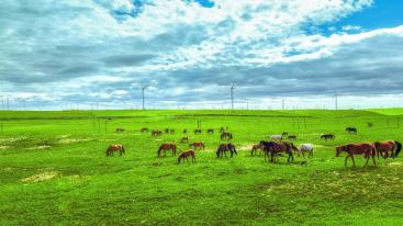 北京出发内蒙山西5日自驾游：纵情美丽辉腾锡勒大草原，探访红色星球5日自驾之旅-推荐