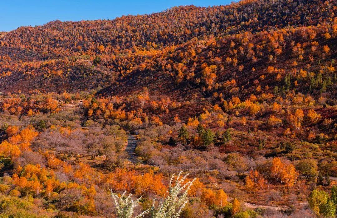 北京出发内蒙赤峰5日自驾游：猎艳西拉木伦金色世界，移步换景多彩风景大道5日自驾之旅自驾游