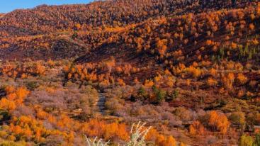 北京出发内蒙赤峰5日自驾游：猎艳西拉木伦金色世界，移步换景多彩风景大道5日自驾之旅-推荐