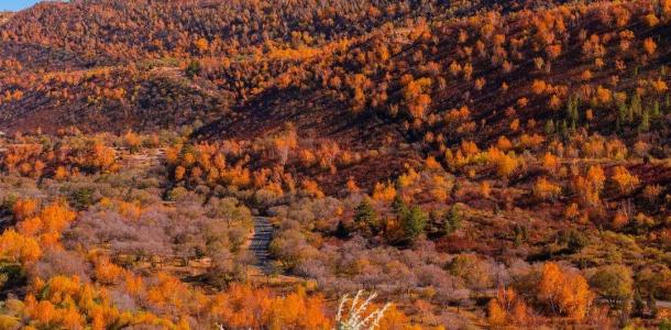北京出发内蒙赤峰5日自驾游：猎艳西拉木伦金色世界，移步换景多彩风景大道5日自驾之旅自驾游