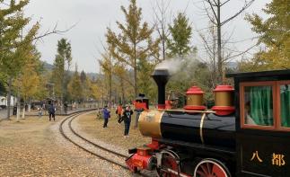 上海周边赏秋2日自驾游：安徽绩溪赏十里银杏长廊-邂逅皖浙天路的醉美秋色2日自驾游自驾游