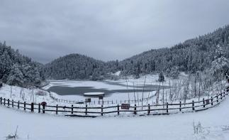 重庆出发武陵山国家森林公园2日自驾自由行，时间自由天天出发自驾游