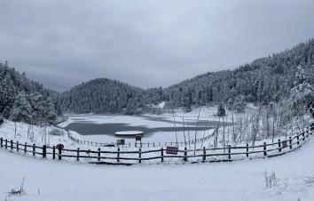 重庆出发武陵山国家森林公园2日自驾自由行，时间自由天天出发-游推荐