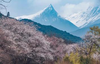 西藏林芝桃花节16日自驾游：【藏地花开】成都-川藏线318-秘境墨脱-拉萨-青藏线16日自驾游-游推荐