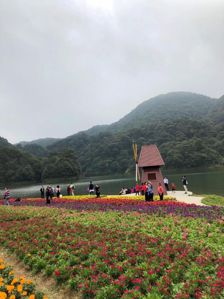 石门国家森林公园有"广州香山"之称,虽然花是人工种植