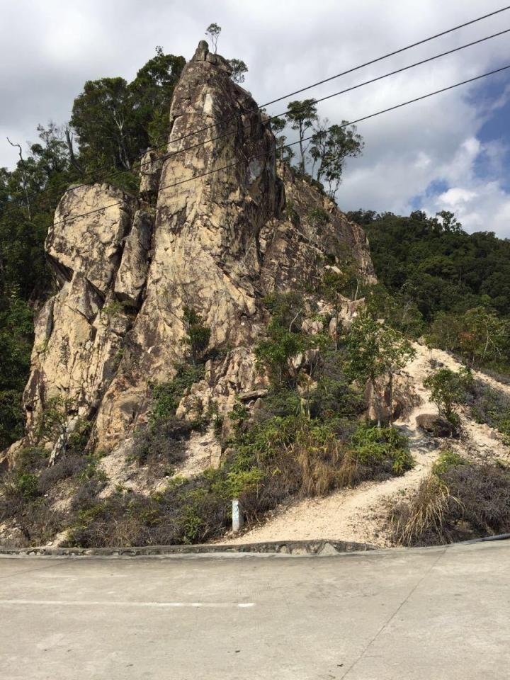 前往尖峰岭国家森林公园的路上山路十八弯,一路欣赏美丽的风景把我们