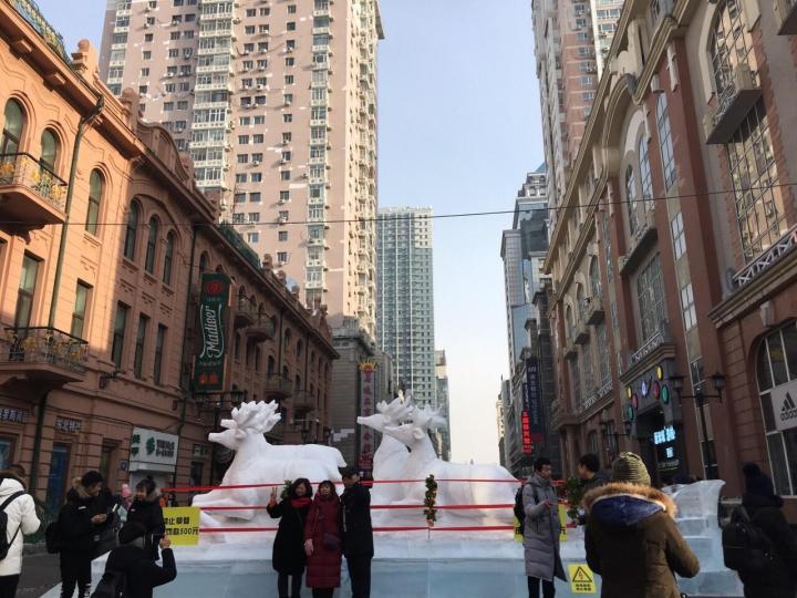 哈尔滨自驾游论坛