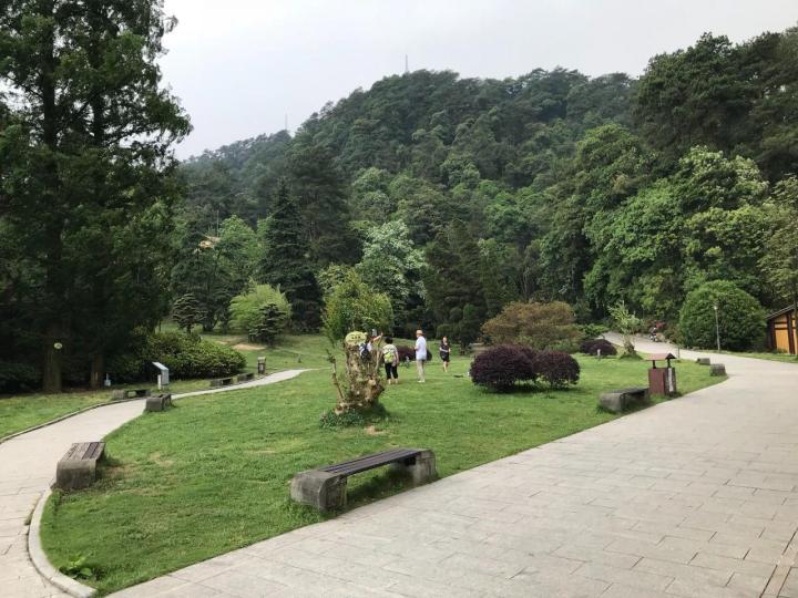 景区内植被茂盛,重庆植物园也在山中,是周边市民消暑登山的好地方.