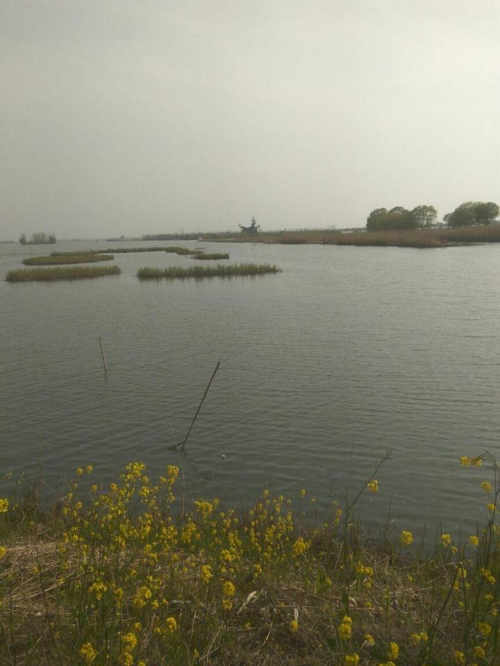大纵湖