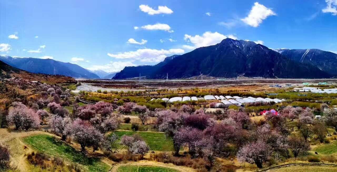 嘎拉桃花村