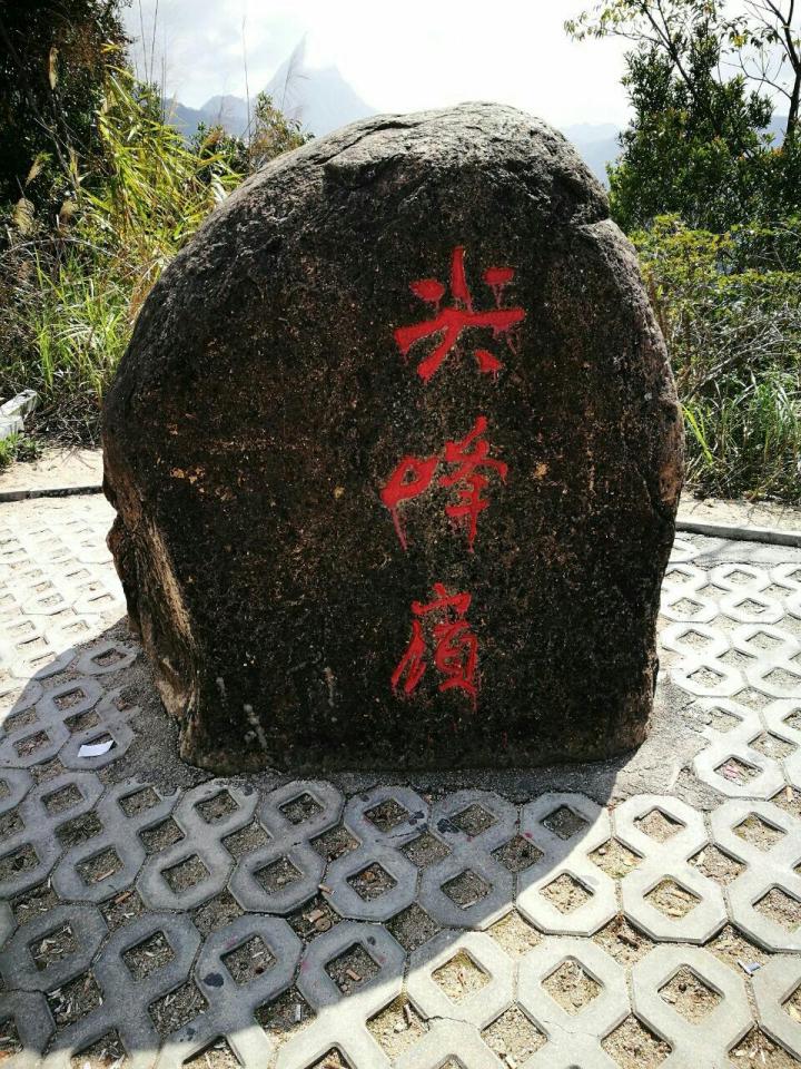 尖峰岭国家森林公园位于海南乐东市,是中国最美十大森林之一,公-乐东