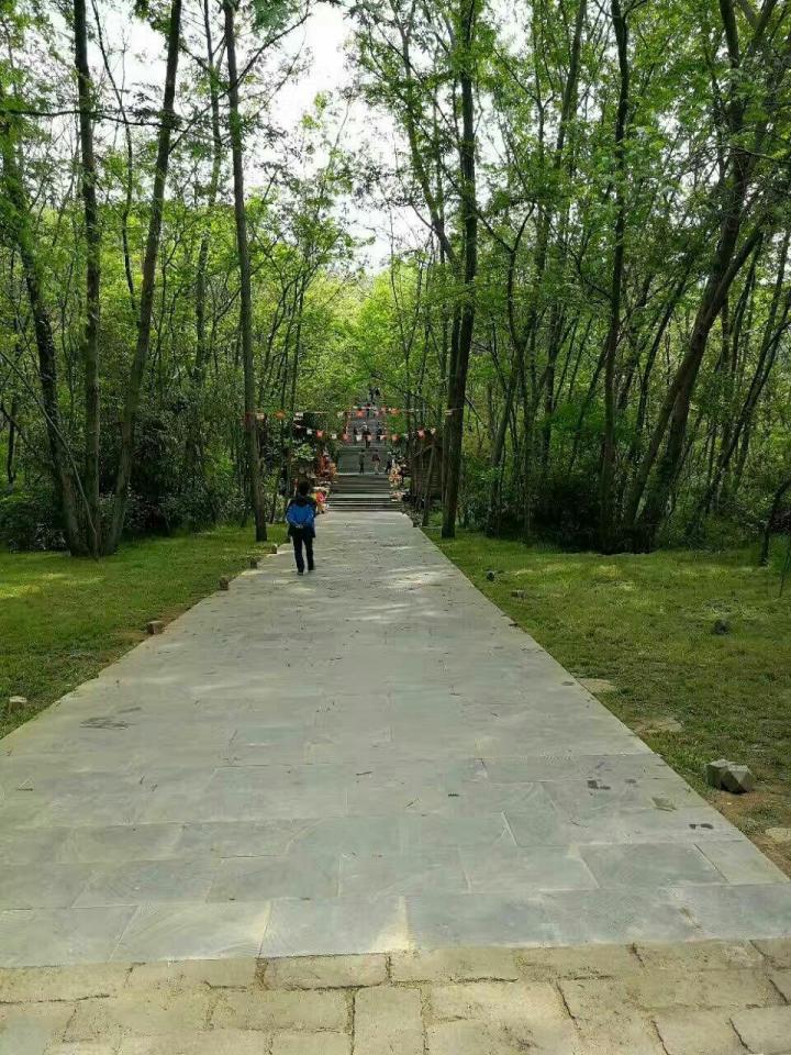 小小喜欢(0) 铁山寺国家森林公园 铁山寺森林公园位于江苏省淮安市