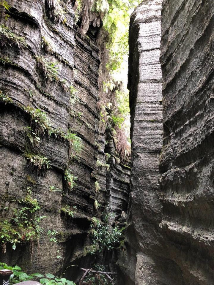 梭布垭石林,凭借四亿年海底的沉积岩,也值得去看.逛4