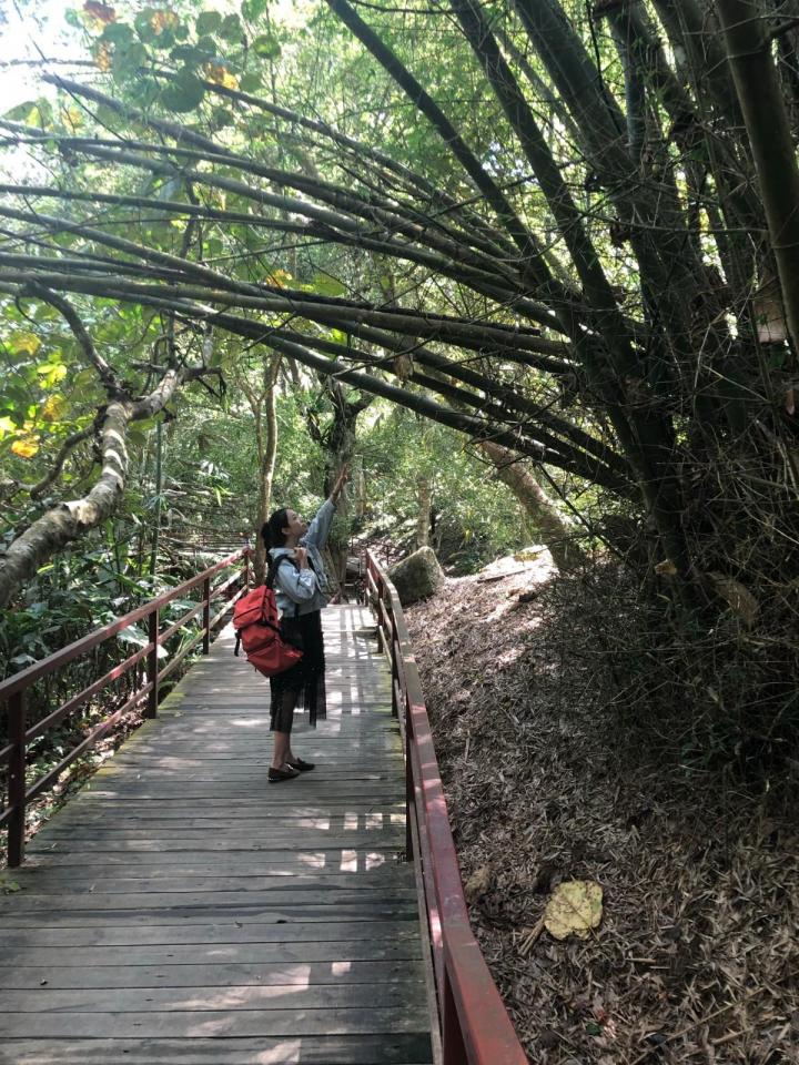 五指山风景区