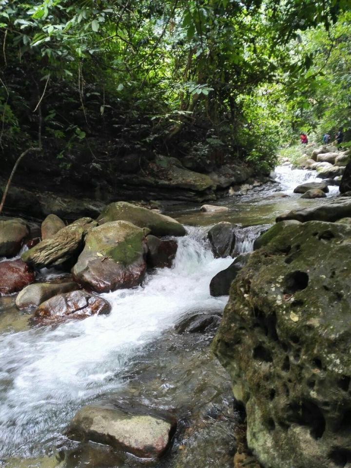 古龙山大峡谷由念八峡,铜灵峡,古劳峡,新灵峡,新桥峡组成,总-靖西自驾