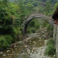 不良人：十二垌垌主的势力亲切袁天罡一个陨生蛊便是超出大天位的存正在！
